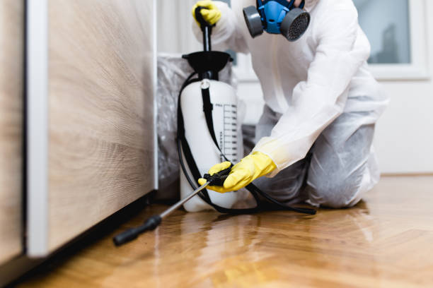 Best Emergency Pest Control  in Plymouth, IN