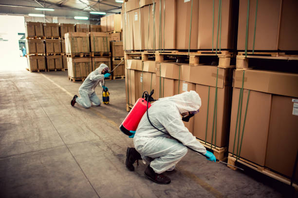 Best Affordable Pest Control Services  in Plymouth, IN