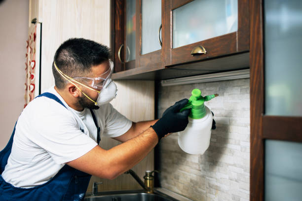 Best Affordable Pest Control Services  in Plymouth, IN