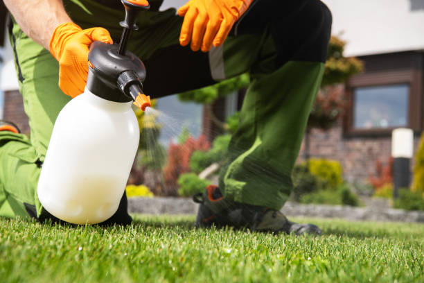 Reliable Plymouth, IN Pest Control Solutions