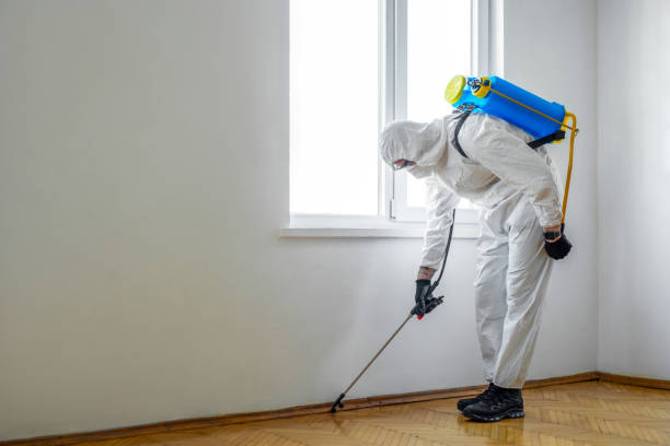 Best Pest Prevention Services  in Plymouth, IN