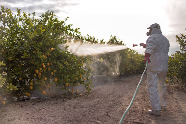 Best Local Pest Control Services  in Plymouth, IN