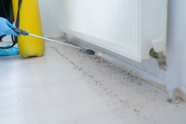 Best Flea Control Services  in Plymouth, IN