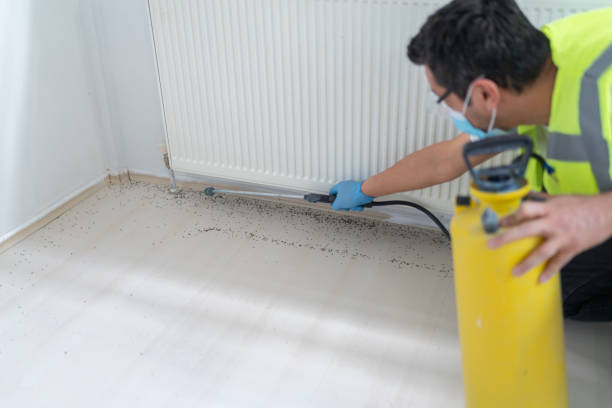 Best Mosquito Control Services  in Plymouth, IN