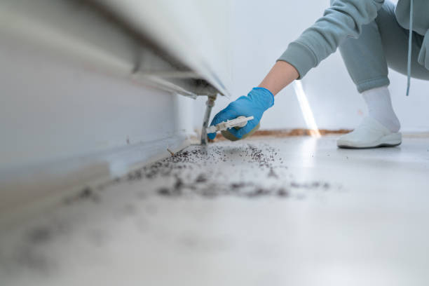 Best Termite Control Services  in Plymouth, IN