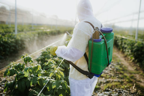 Best Wasp Removal Services  in Plymouth, IN